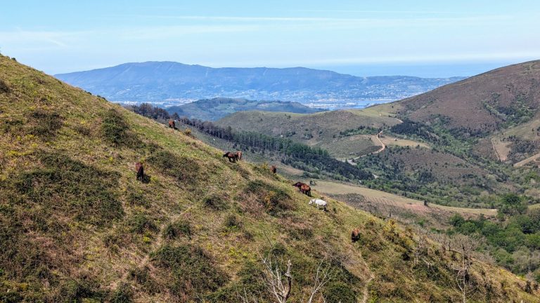 Paysage du Pays Basque vu depuis la montagne en direction de l’océan, symbole de découverte de soi et d’harmonie avec la nature