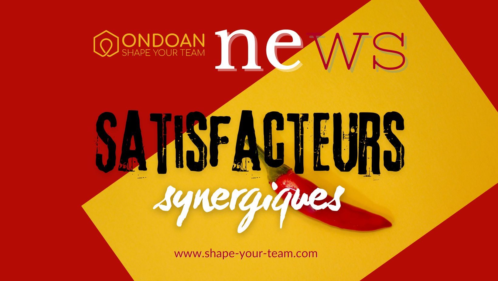 Illustration du concept de satisfaisants synergiques inspiré de Manfred Max-Neef