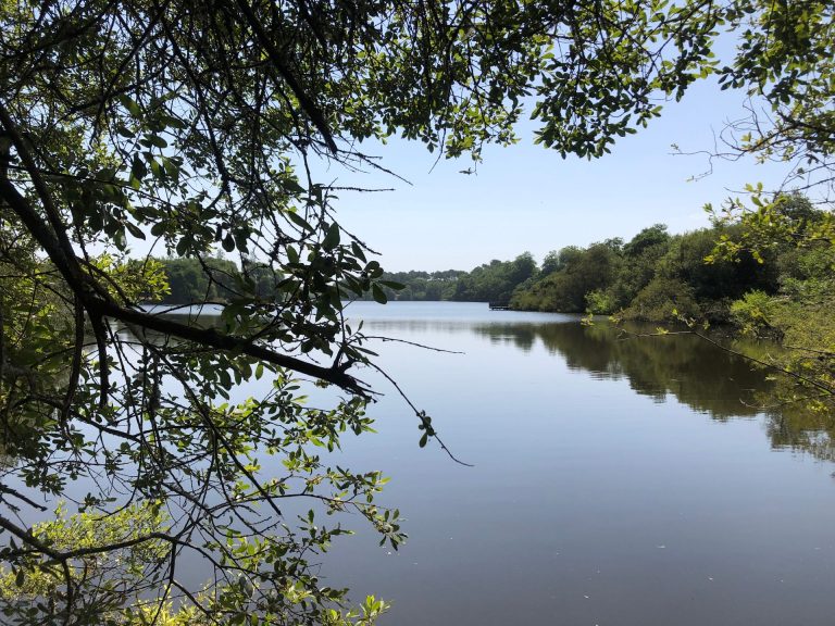 Vue paisible du lac Marion à Biarritz, un cadre naturel pour la reconnexion et le bien-être lors d'un team building.