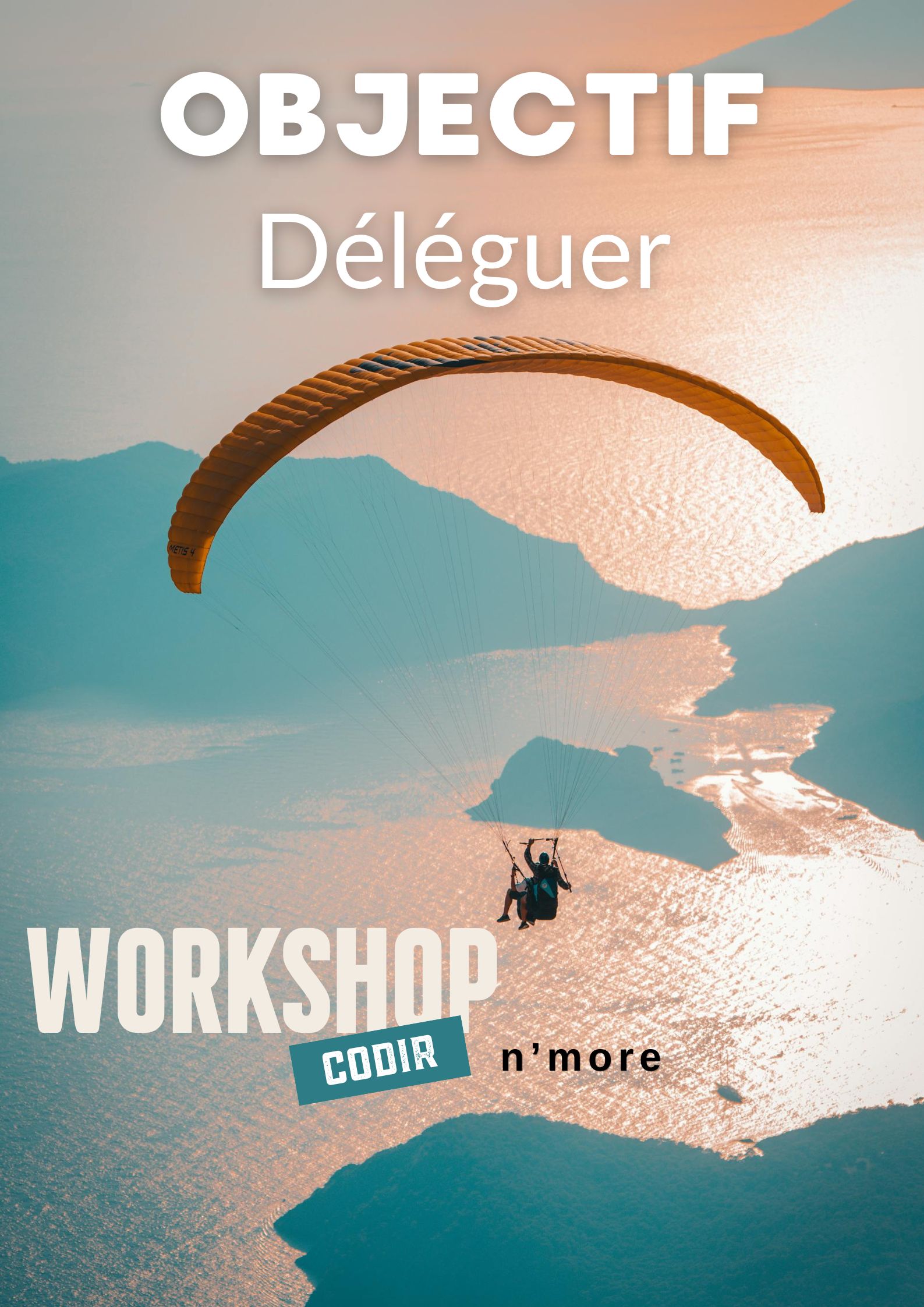 Objectif deleguer workshop CODIR