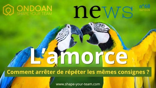 Visuel de couverture Ondoan News montrant deux perroquets face-à-face avec le titre L'amorce - Comment arrêter de répéter les mêmes consignes ?